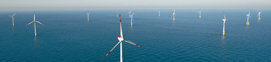 多年的經營過程中，不斷優化貨源渠道，使產品價格更具競爭力！